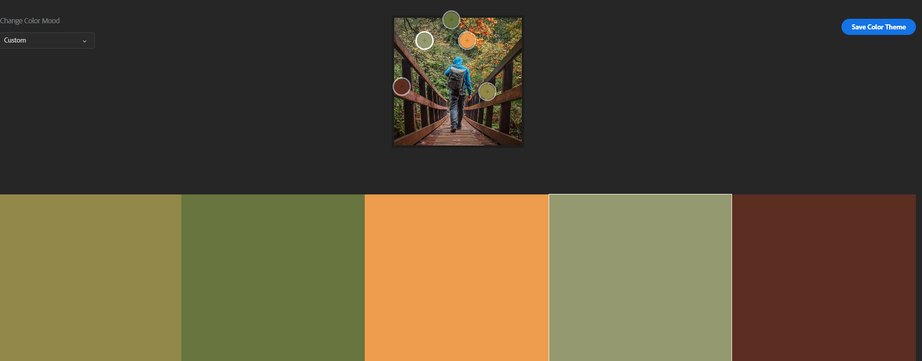 Many variations for a colour pallette came together. AN Earthy tone was designed